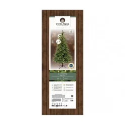 Kaemingk Alberi Di Natale Slim|Alberi Di Natale Medi*Albero di Natale Allison Illuminato h240Ø152cm PE+PVC