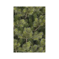 Edelman Alberi Di Natale Slim|Alberi Di Natale Medi*Albero di Natale Clive Slim Verde h215 Ø114cm PE+PVC