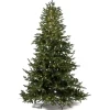 Magic Tree Alberi Di Natale Tradizionali|Alberi Di Natale Medi*Albero di Natale Illuminato Anthony 1500LED h180Ø137cm PE+PVC