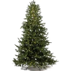 Magic Tree Alberi Di Natale Tradizionali|Alberi Di Natale Grandi*Albero di Natale Illuminato Anthony 2550LED h240Ø168cm PE+PVC
