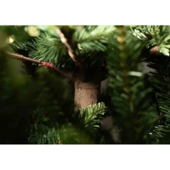 Magic Tree Alberi Di Natale Tradizionali|Alberi Di Natale Grandi*Albero di Natale Illuminato Anthony 2550LED h240Ø168cm PE+PVC