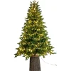 Magic Tree Alberi Di Natale Tradizionali|Alberi Di Natale Grandi*Albero di Natale Illuminato Darcy con Tronco 1450LED h240Ø145cm PE+PVC