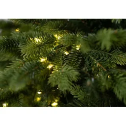 Magic Tree Alberi Di Natale Tradizionali|Alberi Di Natale Grandi*Albero di Natale Illuminato Darcy con Tronco 1450LED h240Ø145cm PE+PVC