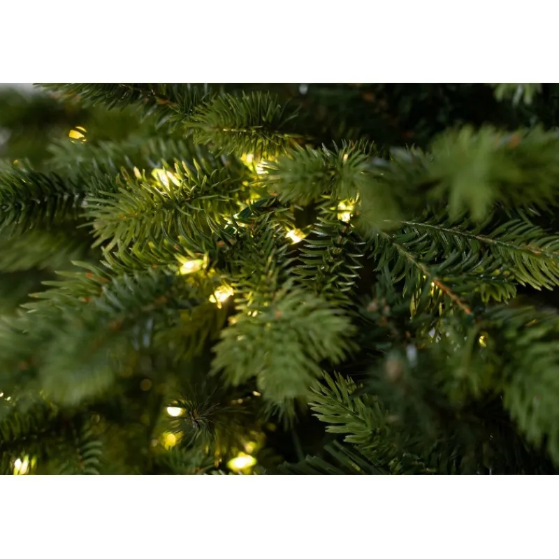Magic Tree Alberi Di Natale Tradizionali|Alberi Di Natale Grandi*Albero di Natale Illuminato Darcy con Tronco 1450LED h240Ø145cm PE+PVC
