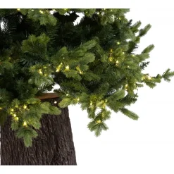 Magic Tree Alberi Di Natale Tradizionali|Alberi Di Natale Grandi*Albero di Natale Illuminato Darcy con Tronco 1450LED h240Ø145cm PE+PVC