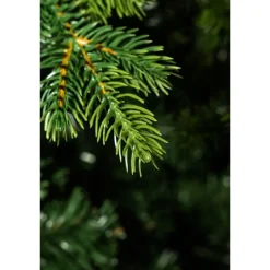 Magic Tree Alberi Di Natale Tradizionali|Alberi Di Natale Grandi*Albero di Natale Illuminato Darcy con Tronco 1450LED h240Ø145cm PE+PVC