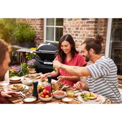 Weber Barbecue Weber Q A Gas|Barbecue Weber A Gas*Barbecue a Gas Q 3200N+ Black Cod. 1501135