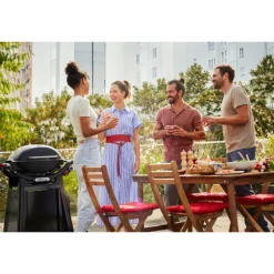 Weber Barbecue Weber Q A Gas|Barbecue Weber A Gas*Barbecue a Gas Q 3200N+ Black Cod. 1501135