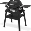 Weber Portatili Weber|Barbecue Weber Q A Gas*Barbecue a Gas Q 1200N Con Stand Black Cod. 1501087
