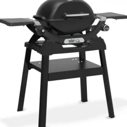 Weber Portatili Weber|Barbecue Weber Q A Gas*Barbecue a Gas Q 1200N Con Stand Black Cod. 1501087