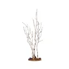 Lemax Alberi*Birch Tree Medium Cod. 34967