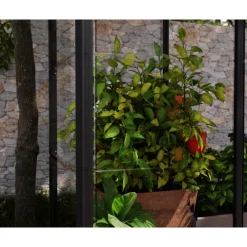 Canopia Serra Da Giardino Canopia*Ivy Mini Serra Da Giardino in Policarbonato 124X64X150 cm