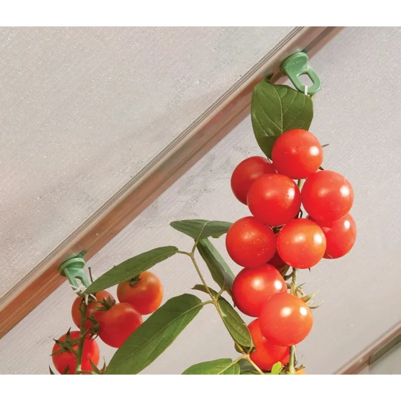 Palram Serra Da Giardino Canopia|Accessori Per Serre Canopia*Canopia - I Ganci per Piante per Serra