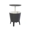 Keter Bauli In Resina*Tavolino in Resina COOL BAR Grigio