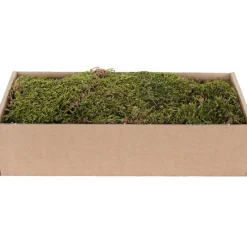 MyVillage Materiale Per Decorare*Muschio Piatto Essiccato 500 g Verde - Marrone