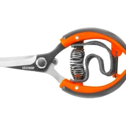 Stocker Stocker Shop|Forbici Professionali*Forbice agrumi con cinghia 10 cm