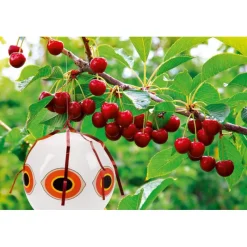 Stocker Protezione*Spaventapasseri a pallone colore bianco Ø40 cm