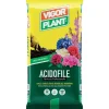 Vigorplant Terricci Per Piante*Terriccio Acidofile 45 litri