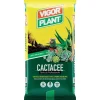 Vigorplant Terricci Per Piante*Terriccio Cactacee 20 litri