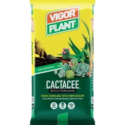 Vigorplant Terricci Per Piante*Terriccio Cactacee 20 litri