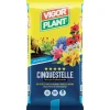 Vigorplant Terricci Per Piante*Terriccio Cinquestelle 45 litri
