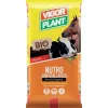 Vigorplant Terricci Per Piante*Terriccio Nutro con Stallatico 20 litri