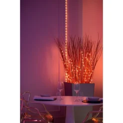 Twinkly Twinkly Home|Luci Di Natale*DOTS Striscia 3 m 60 Led RGB USB BT + WiFi Cavo Trasparente