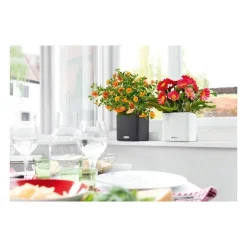 Lechuza Vasi Quadrati In Resina|Vasi In Resina*Vaso Cube Color 16 Set Completo