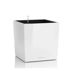Lechuza Vasi Quadrati In Resina|Vasi In Resina*Vaso Cube 50 Set Completo
