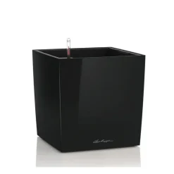 Lechuza Vasi Quadrati In Resina|Vasi In Resina*Vaso Cube 50 Set Completo