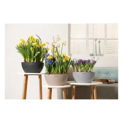 Lechuza Vasi Quadrati In Resina|Vasi In Resina*Vaso Cubeto 30 Set Completo