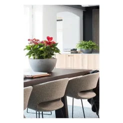 Lechuza Vasi Quadrati In Resina|Vasi In Resina*Vaso Cubeto 40 Set Completo