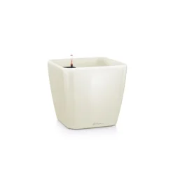 Lechuza Premium Collection|Vasi Tondi In Resina*Vaso Quadro Premium 50 Set Completo