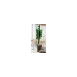 Lechuza Premium Collection|Vasi Tondi In Resina*Vaso Quadro Premium 50 Set Completo