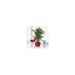 Lechuza Premium Collection|Vasi Tondi In Resina*Vaso Quadro Premium 43 Set Completo