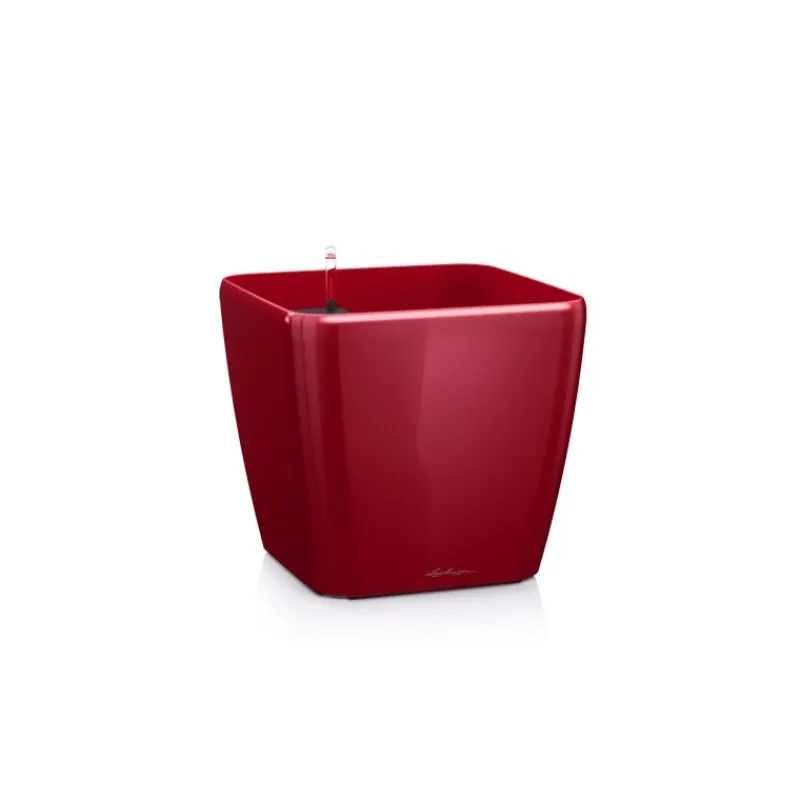 Lechuza Premium Collection|Vasi Tondi In Resina*Vaso Quadro Premium 28 Set Completo