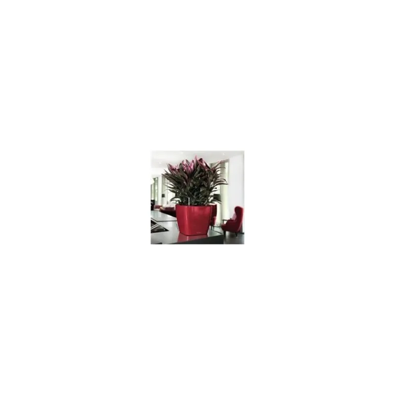 Lechuza Premium Collection|Vasi Tondi In Resina*Vaso Quadro Premium 28 Set Completo