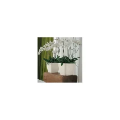 Lechuza Premium Collection|Vasi Tondi In Resina*Vaso Quadro Premium 21 Set Completo