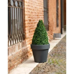 Teraplast Vasi Tondi In Resina|Vasi In Resina*Vaso Standard One